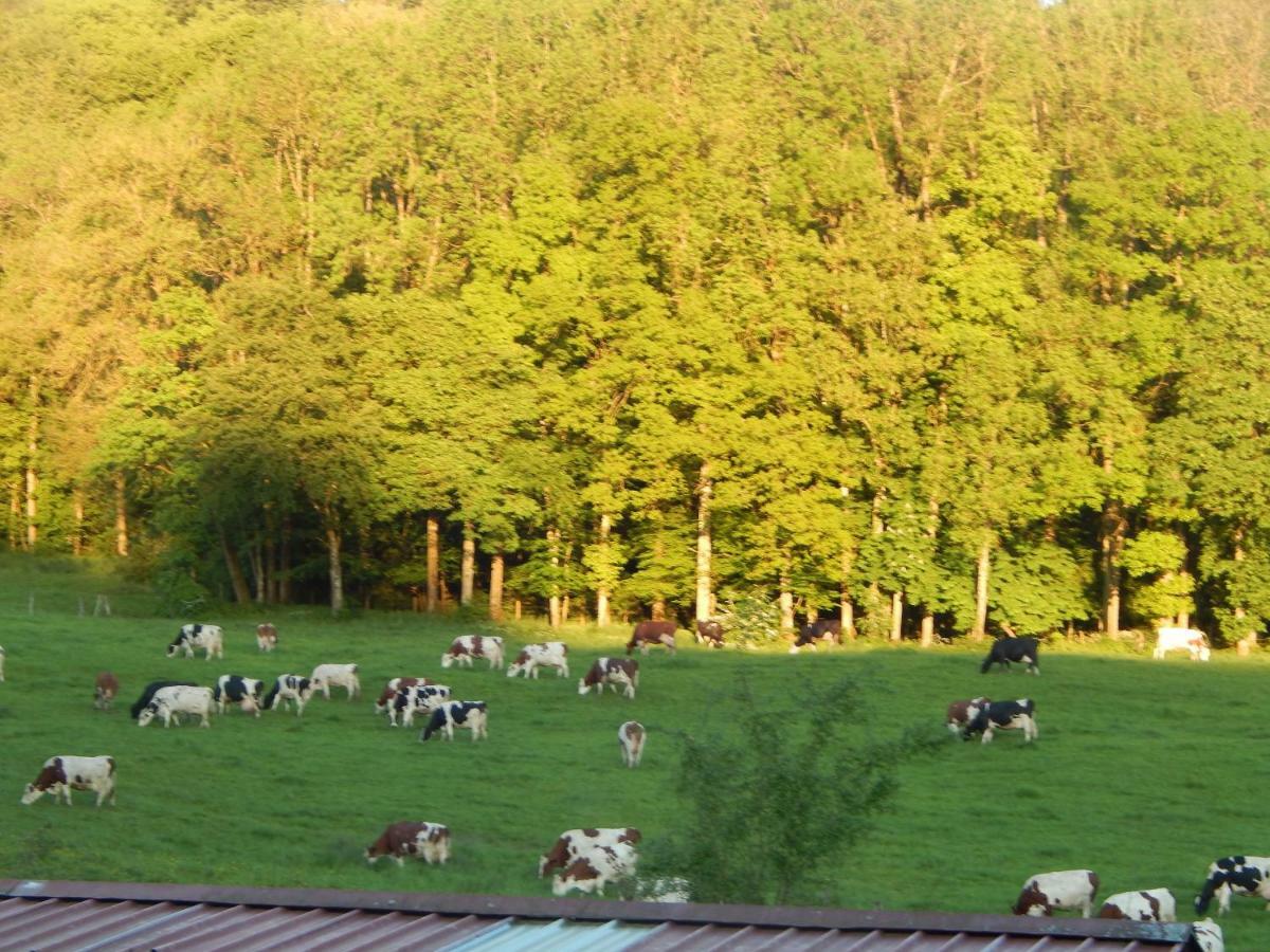 Bed and Breakfast A La Source Du Saolon Culmont Exterior foto